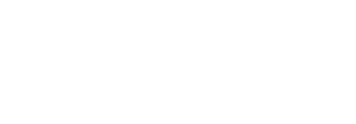Logo2